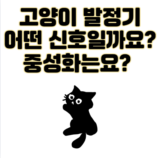 우리 고양이 발정기, 언제 오고 어떤 신호일까요? 그리고 중성화는요?