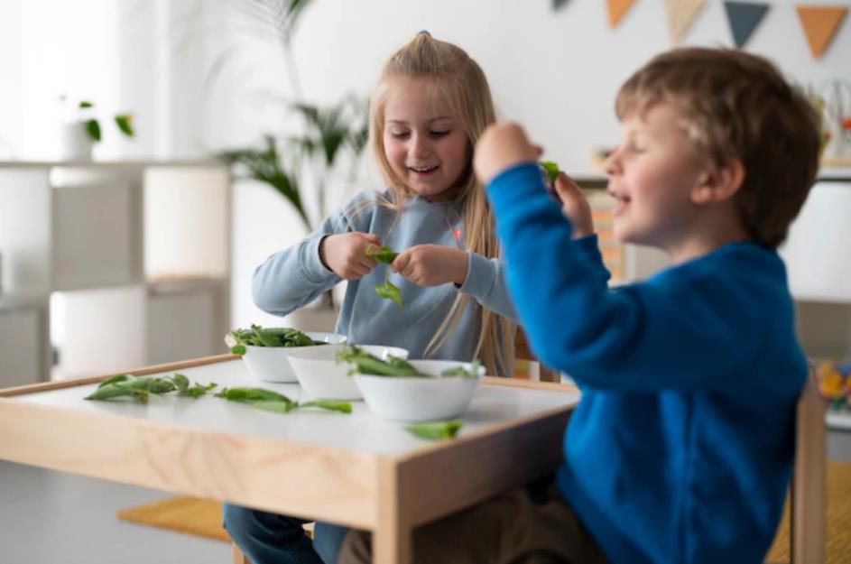 개과천선의 내맘정보공유-서울시 각 구별 사립유치원, 공립유치원, 병설유치원 리스트(목록)