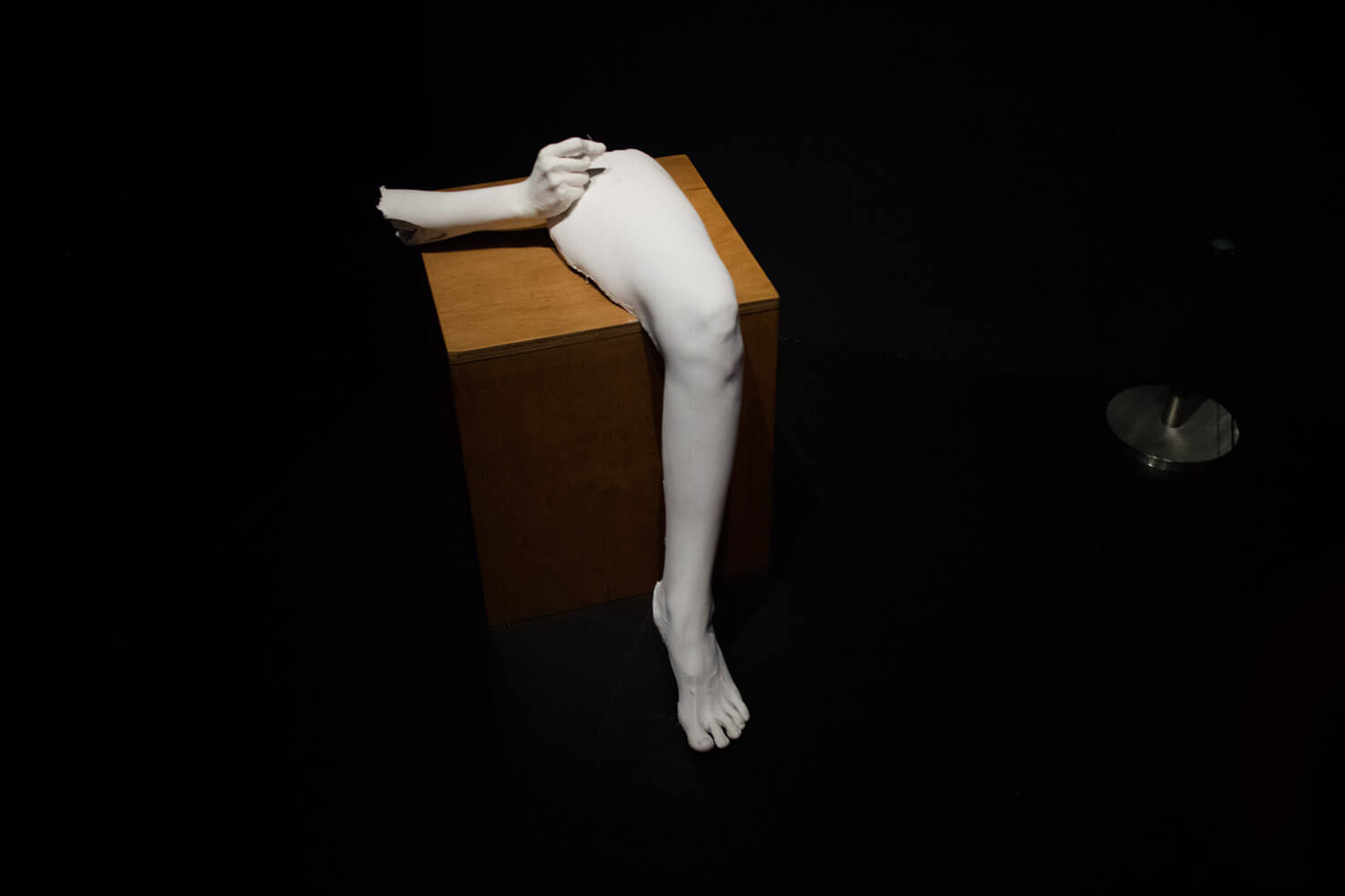 윤지영 작가