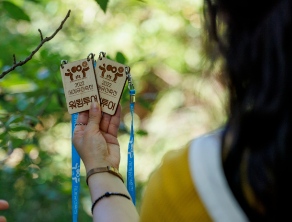 관람 정보 및 유의사항