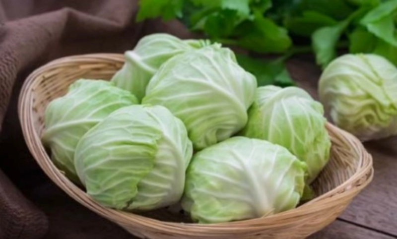 찐 양배추 효능