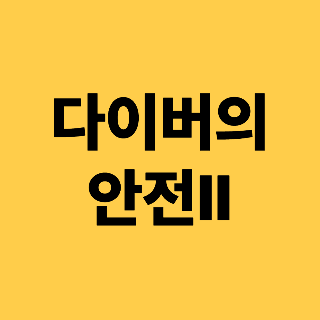 다이버의 안전2