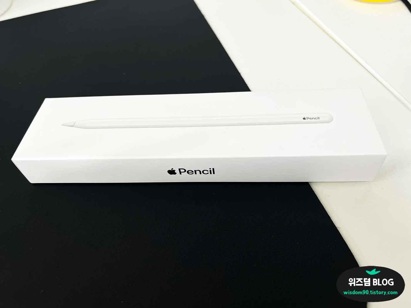 아이패드 프로의 필수악세사리인 애플펜슬 2세대