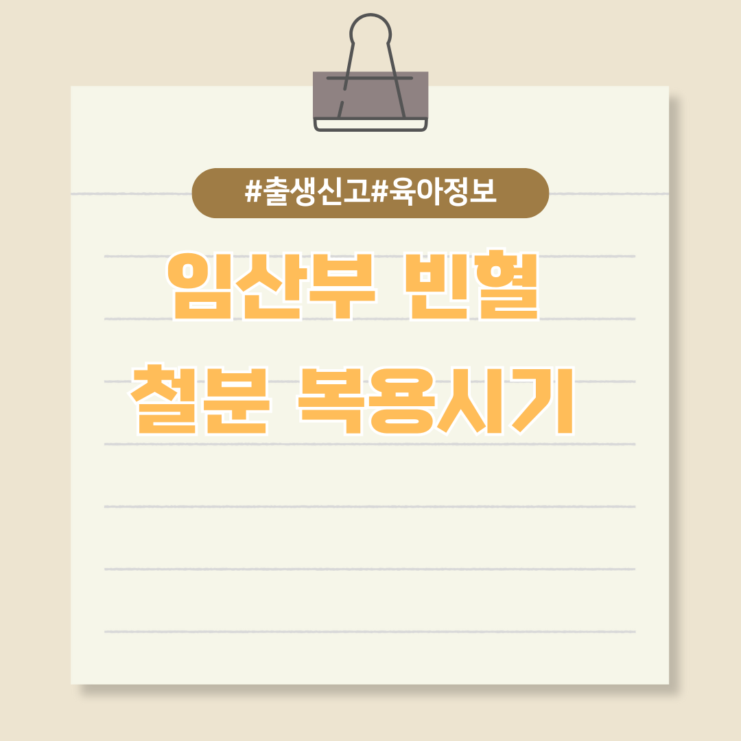 임산부 빈혈 원인 &amp; 예방법(철분제 복용시기)