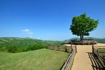평창 가볼만한곳 베스트10 현지인 추천 필수코스_11