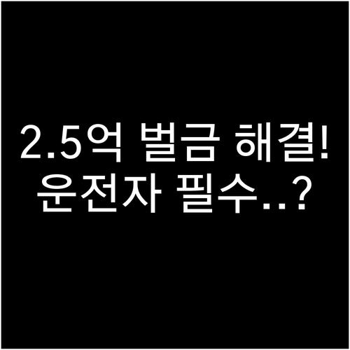 최대 2.5억 운전자보험 벌금 합의금..