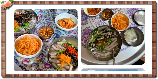 전현무계획2 대구 메밀묵채 메밀묵밥 정구지찌짐 후기