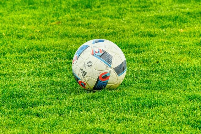 축구장사진