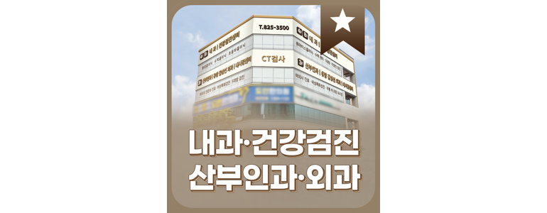 대전 유성구 내과