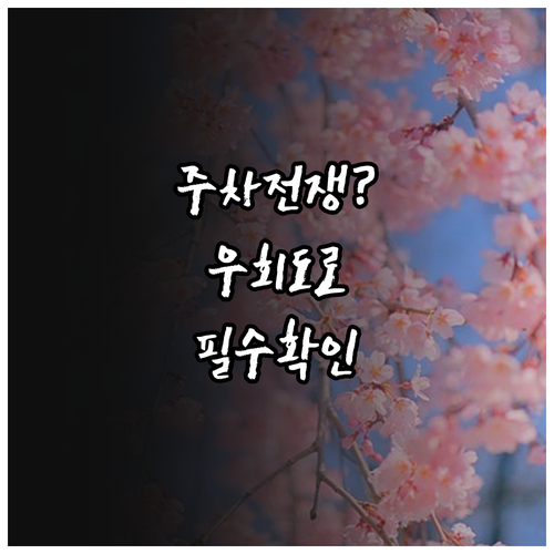 안양 충훈부 벚꽃축제 교통 정보 및 ..