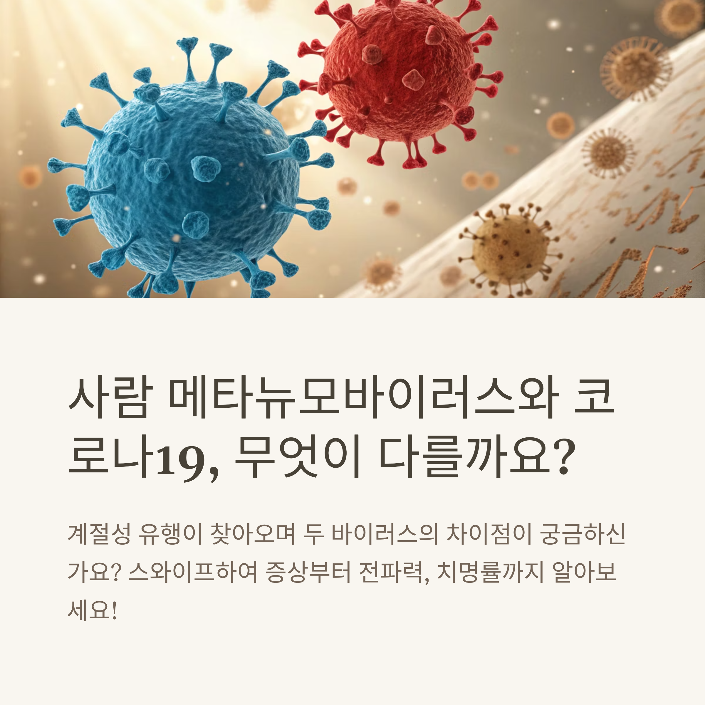 메타뉴모바이러스와 코로나19