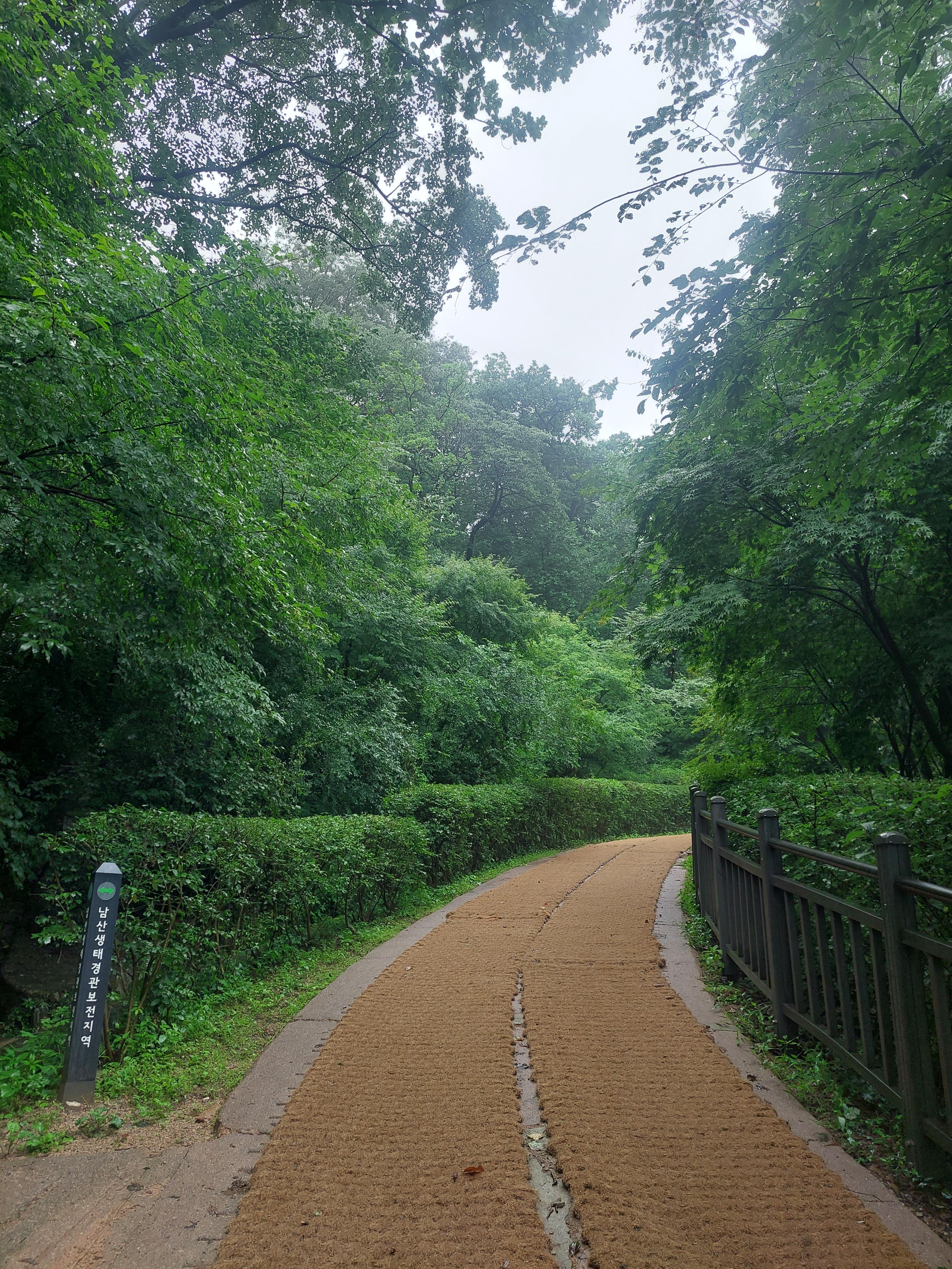 남산매봉산