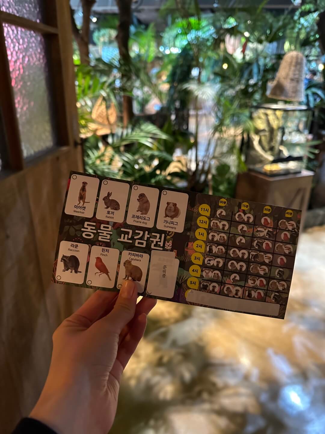 주렁주렁 동탄점 동물 교감권 안내 사진