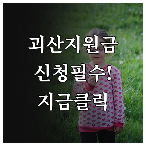 2026년 괴산 민생지원금 신청 방법..