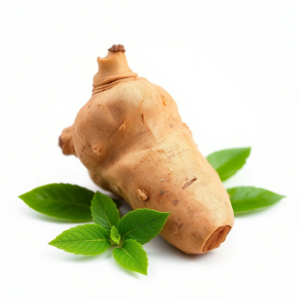 펜트라민마름모정-내돈내산-후기-효과