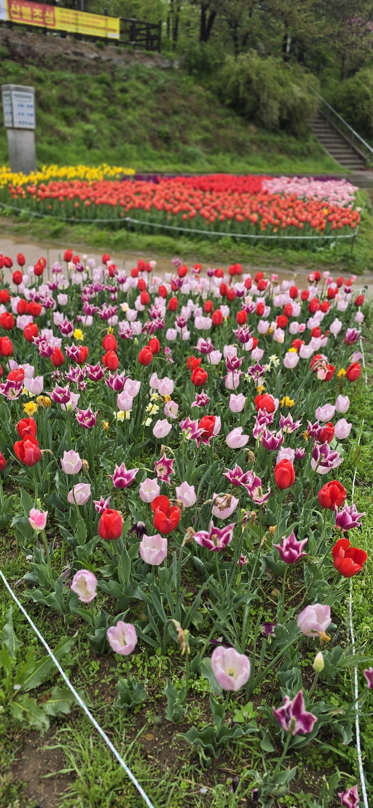 튜울맆 직접 찍은 사진