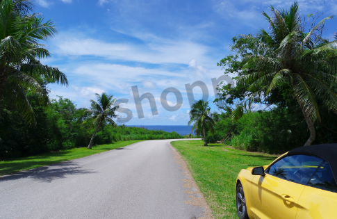 안전운전 통합민원