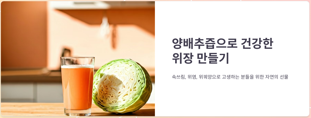 양배추즙 먹는법, 효능, 가격 (양배추즙 추천)