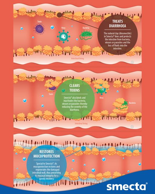 디옥타헤드랄스멕타이트 작용 기전