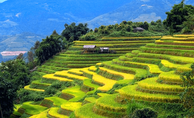 계단식으로 농사를 짓는 풍경이다. 연두색 밭이 계단처럼 펼쳐졌다.