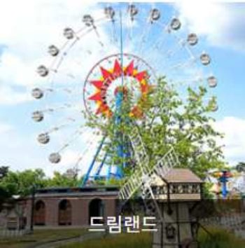 곡성장미축제