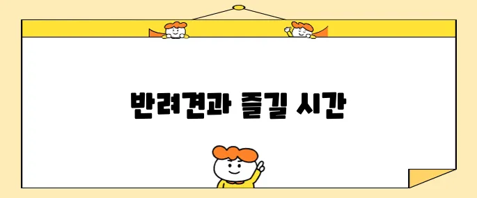 강원도 평창에 위치한 더화이트 호텔, 휘닉스파크 근처 애견과 함께할 수 있는 숙소를 추천합니다.