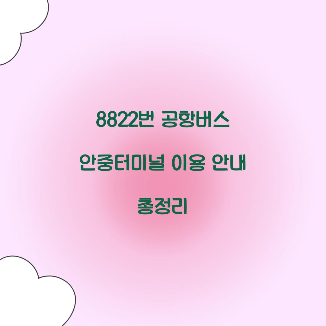 8822번 공항버스 안중터미널