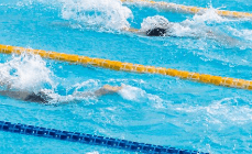 고지혈증예방법