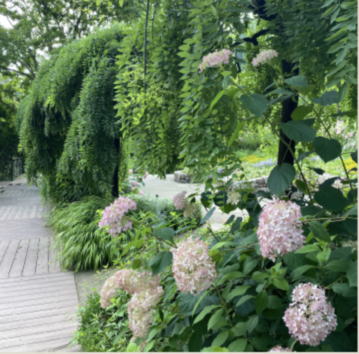 화담숲 수국축제