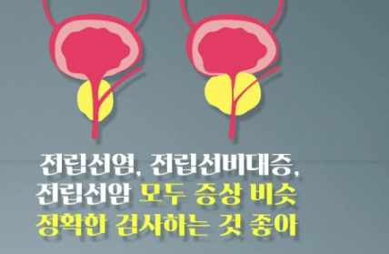 전립선에 좋은음식 12가지 