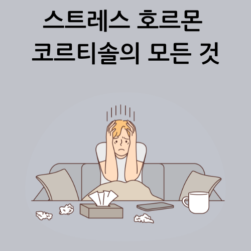 스트레스 호르몬 코르티솔의 모든 것 – 원인, 영향 및 줄이는 방법