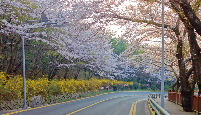 서울-북악스카이웨이