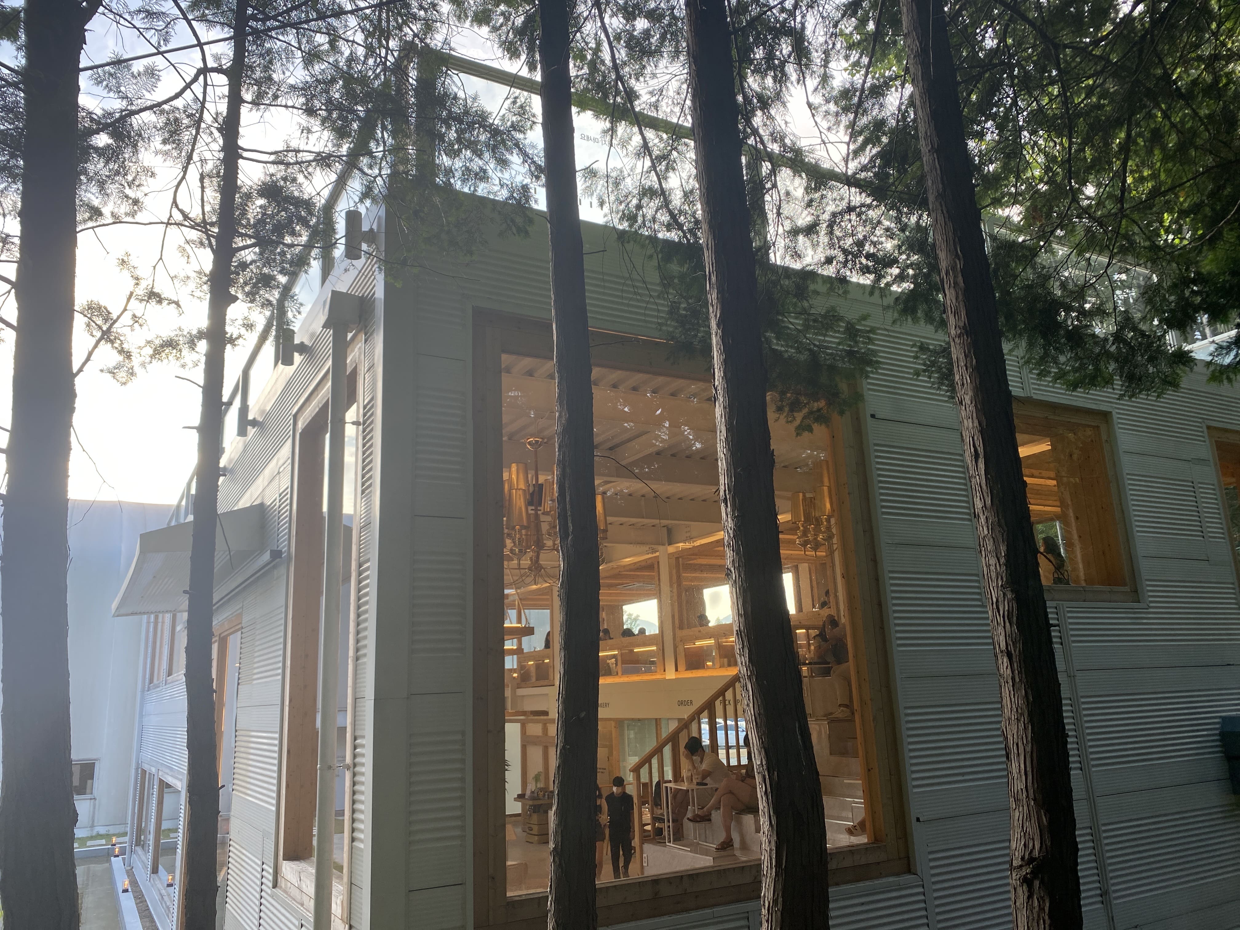 제이스커피-숲속길