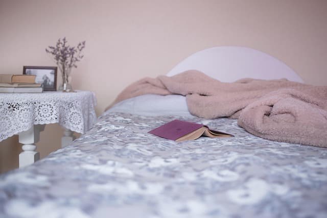 입동 준비 완료! 따뜻한 이불로 겨울나기 💤