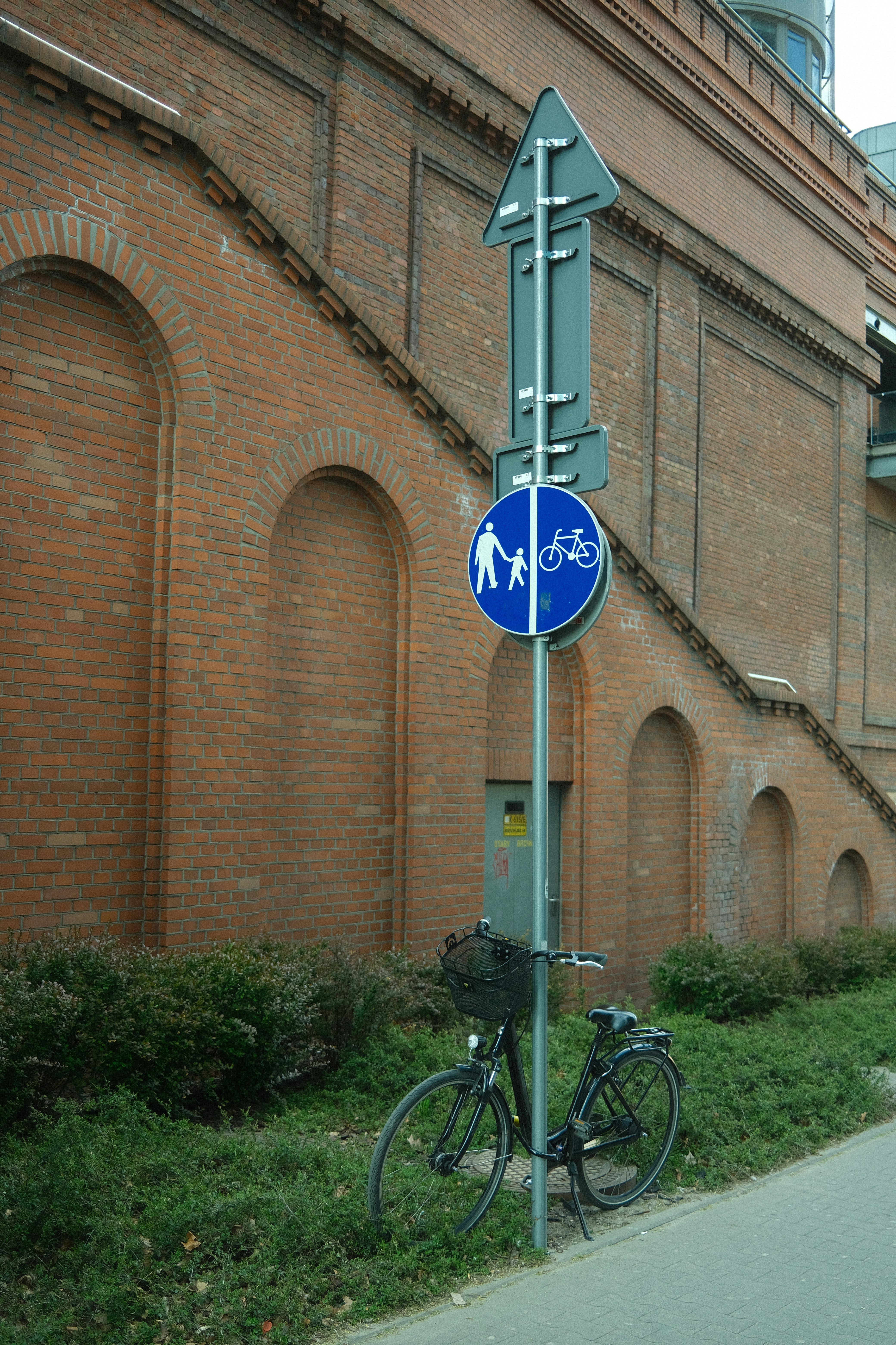 환경보전 캠페인