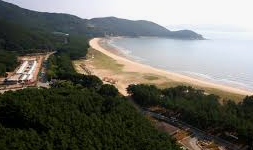 덕적도 배시간표