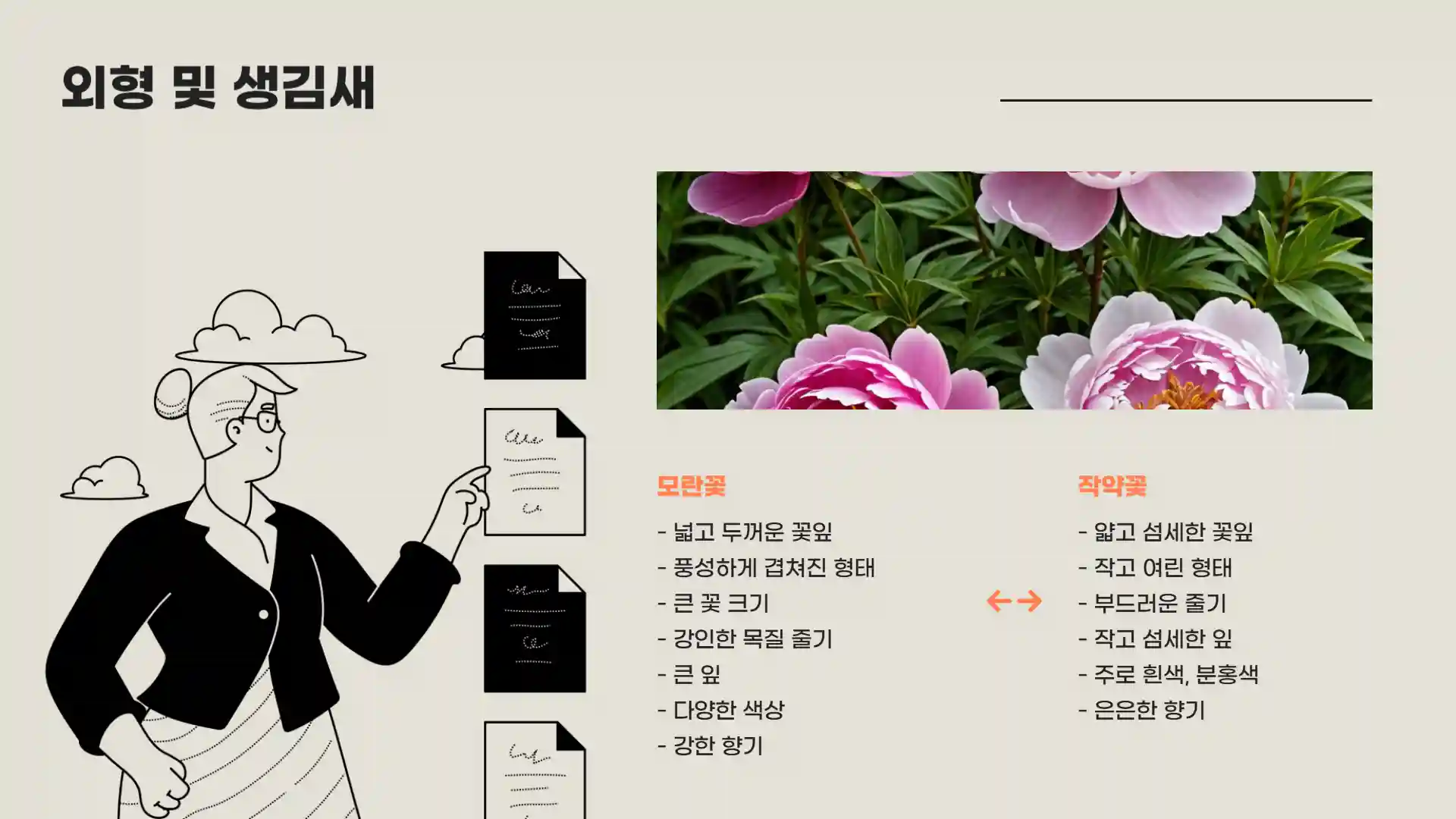 모란꽃과 작약꽃