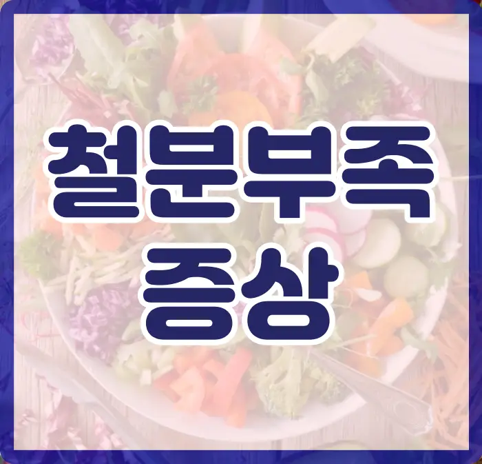 철분 효능