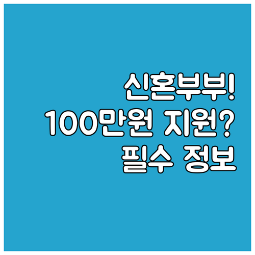 서울시 신혼부부 100만 원 지원, ..