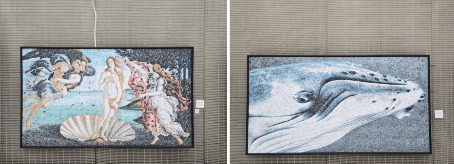 기후환경 사진 프로젝트 국립생태원제공