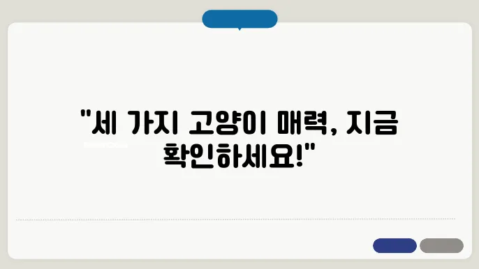 고양이 종류 완벽 정리 랙돌, 스코티쉬폴드, 샴 차이점 비교는 이렇다