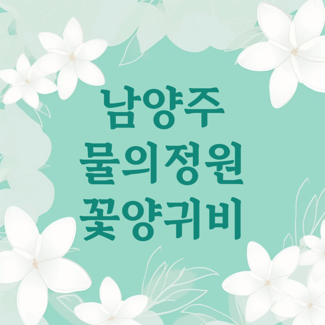 남양주 물의정원 꽃양귀비