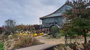 화성_우리꽃식물원_국화전시회