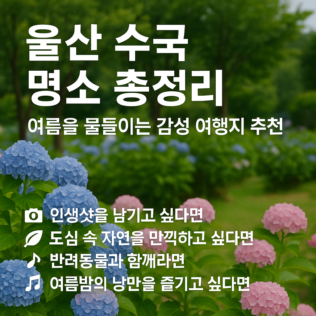 울산 수국 명소 총정리