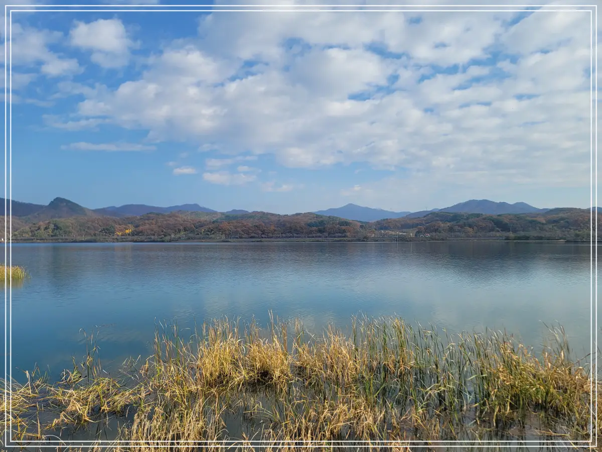 물의정원-수변공원-전경