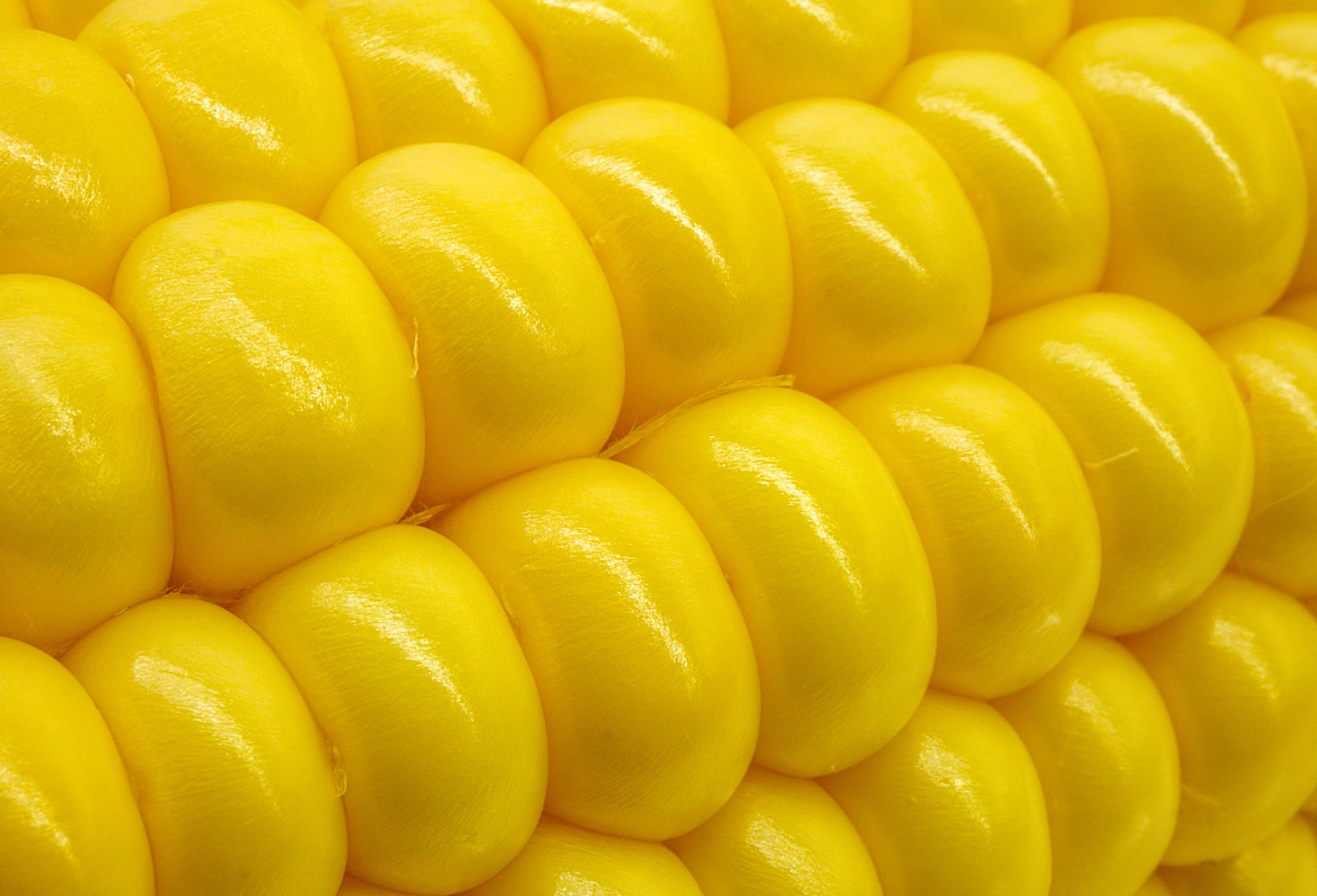 옥수수차 물대신