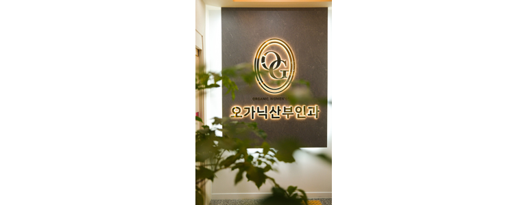 전주 덕진구 불면증