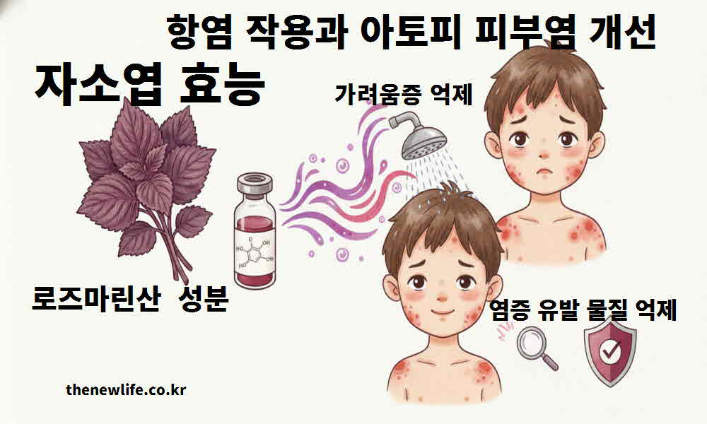 자소엽 효능 항염 작용 아토피 피부염 개선