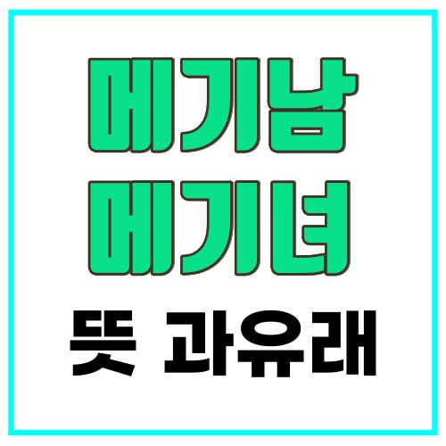메기남메기녀_썸네일