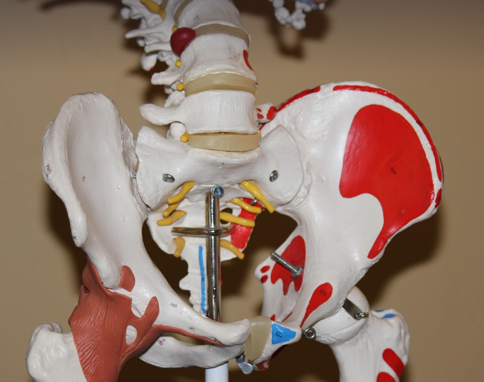 중년 고관절 통증 주의보 (퇴행, 낙상, 무리한 운동)